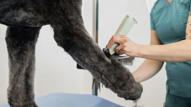 WAHL KMC+ Cordless - Image 5