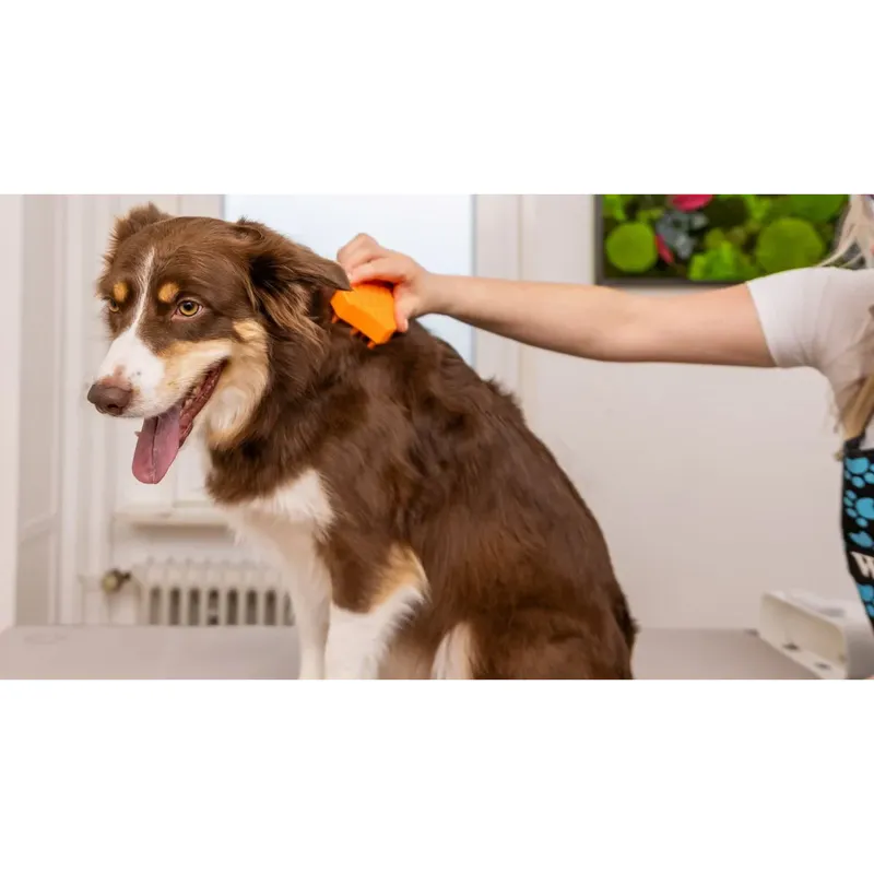 WAHL Sheddy Grooming Brush - Image 2
