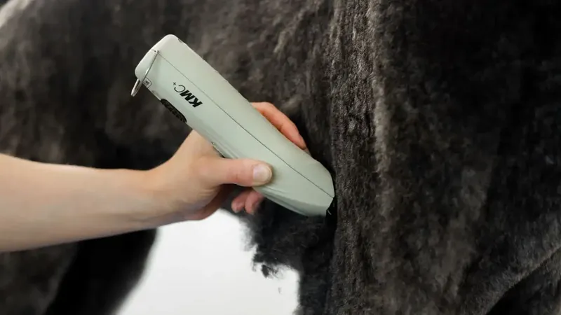 WAHL KMC+ Cordless - Image 4