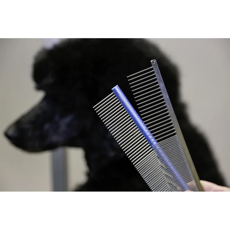 Aesculap Fur Brush with Stainless Steel Handle - L - Image 1