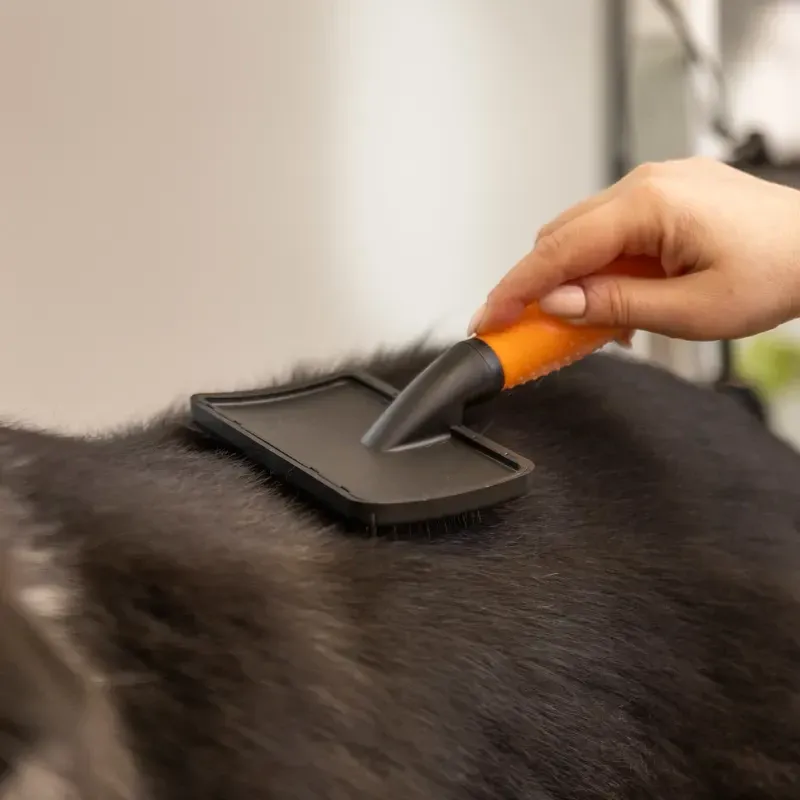 WAHL Brush - L - Image 4