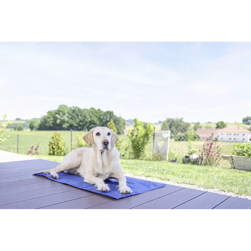 Cooling Mat Cool-Relax - Image 1