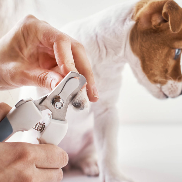Nail Clipping